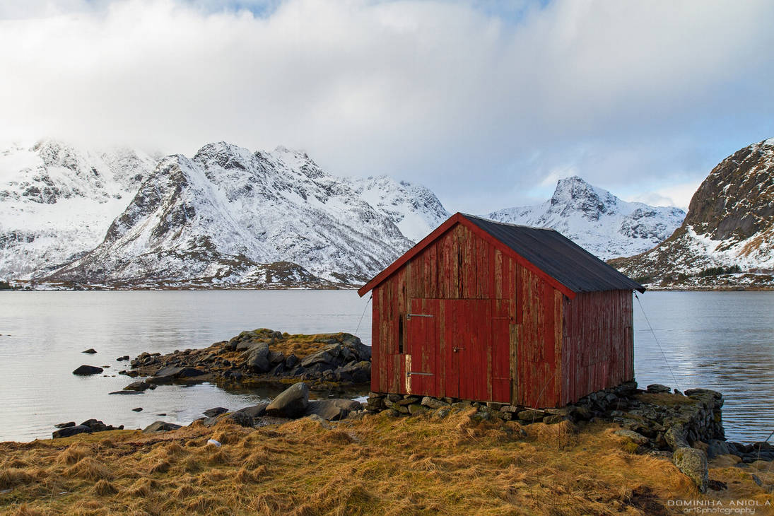 The red shed by DominikaAniola