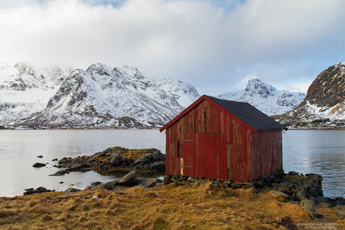 The red shed