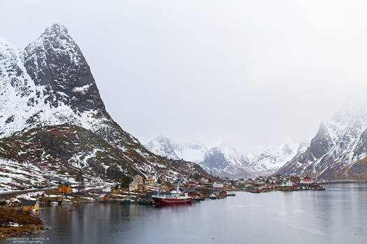 Reine