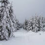 Winter In Owl Mountains