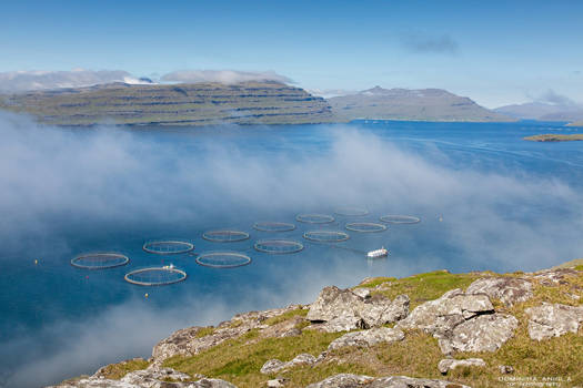Faroe Islands #4