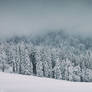 Owl Mountains In Winter #2
