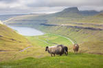 Faroe Islands #6 by DominikaAniola