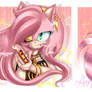 Copy the Picture Meme - EmeraldMaree - Amy Rose