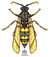 Wasp