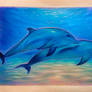 Dolphins