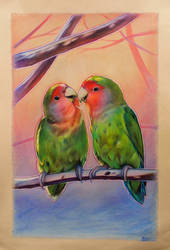 Lovebirds