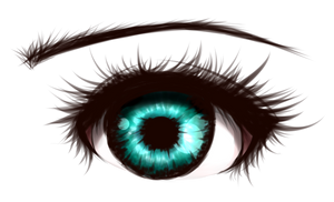 Eye