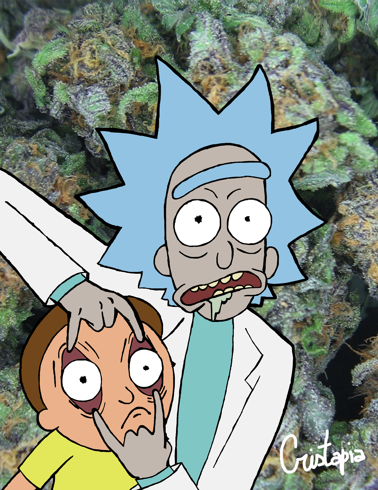 Rick and Morty Weed by Cristapia on DeviantArt Rick and Morty Weed by Cristapia on DeviantArt