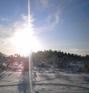 Blue Sky, Sun, Trees, New Fallen Snow