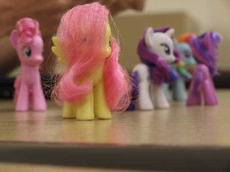 Ponies and Stuff 4