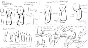 MLP - Basic Anatomy Study 3 - Hind Legs