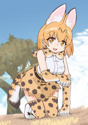 Serval