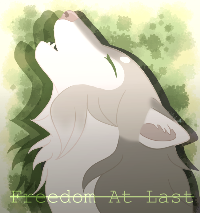 {DotW - MSE} Freedom At Last