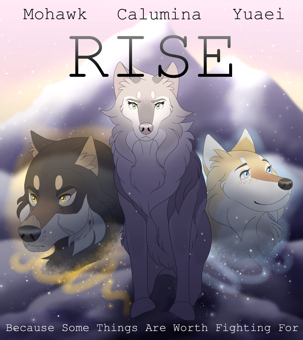 {DotW - MSE} Rise