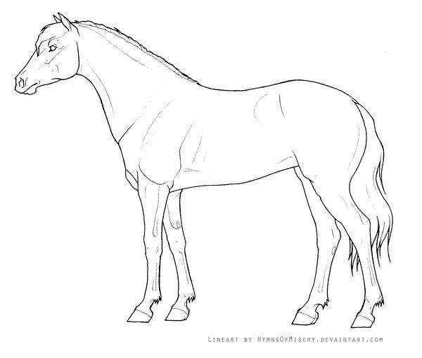 Mare Lineart