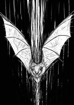 Bat