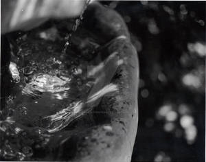 Black and White: Fountain