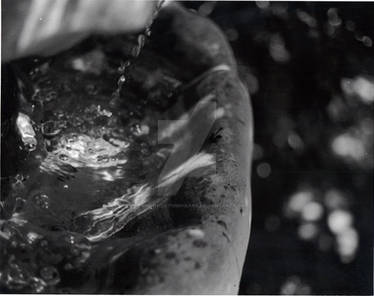 Black and White: Fountain