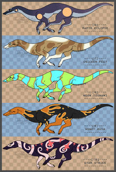 Indian Racing Drake Bird Explore the Best Racing_drake Art | DeviantArt