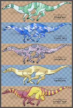 Indian Racing Drake Bird Explore the Best Racing_drake Art | DeviantArt