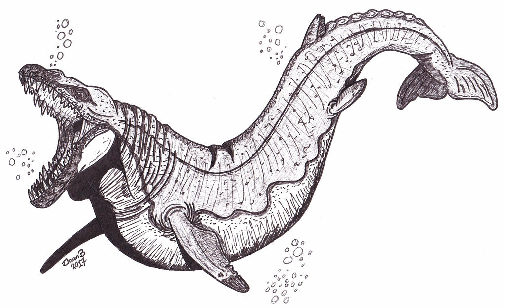 Basilosaurus Deviantart Basilosaurus by XenoTeeth3 on DeviantArt