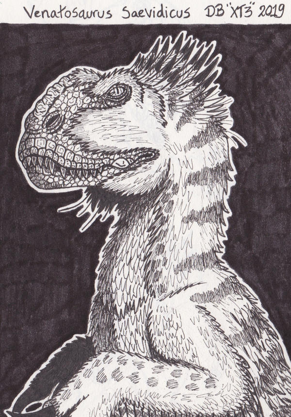 Kong Raptor Venatosaurus ''King Kong Raptor''(feathered) by XenoTeeth3 on DeviantArt