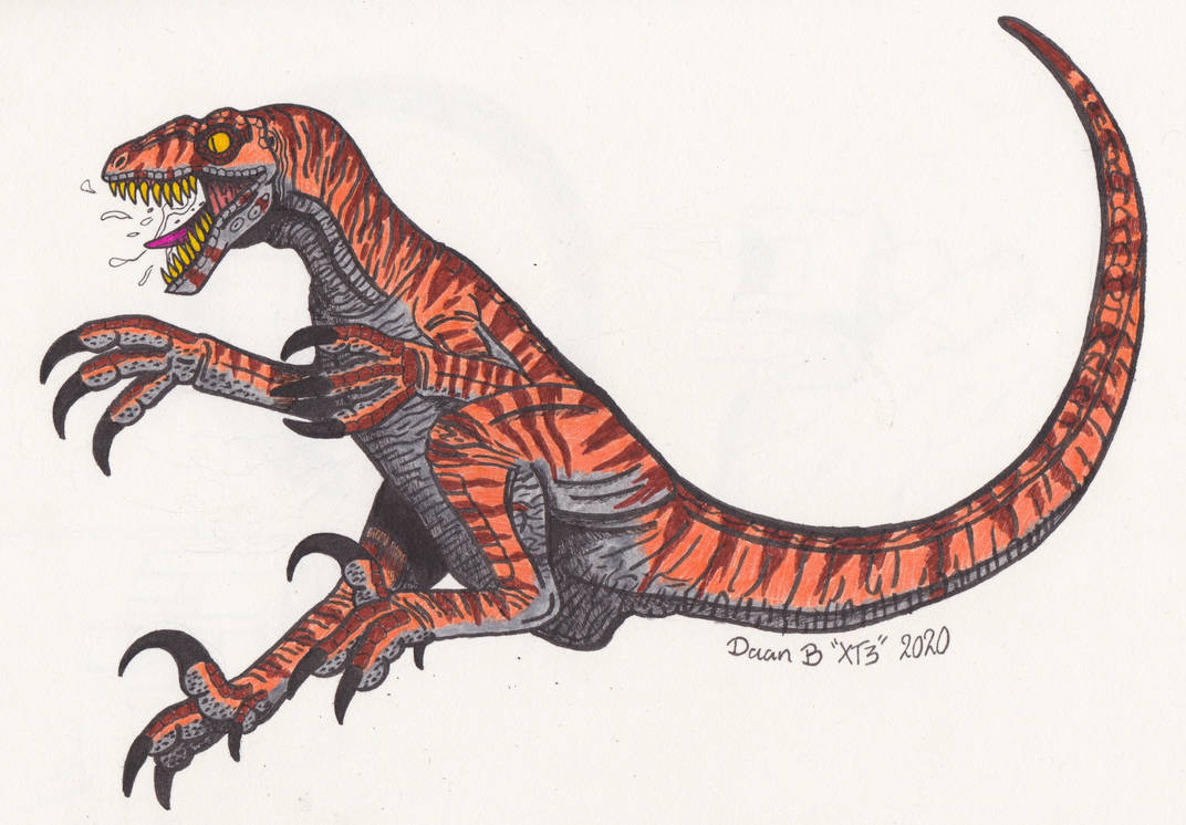 Tiger striped raptor by XenoTeeth3 on DeviantArt