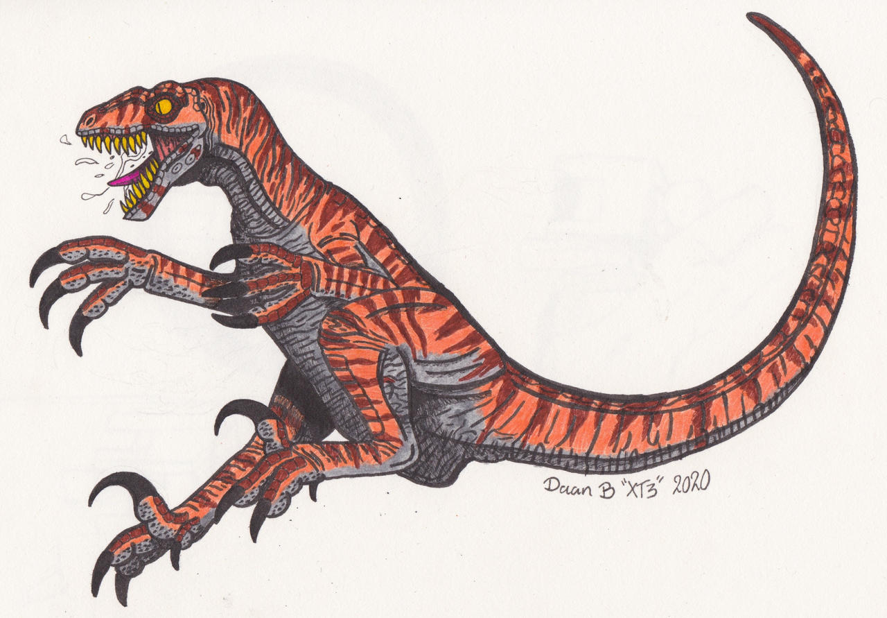 Tiger Pattern Raptor Tiger striped raptor by XenoTeeth3 on DeviantArt