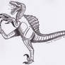 Spinoraptor line art