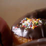 Doughnut