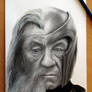 Gandalf / Magneto
