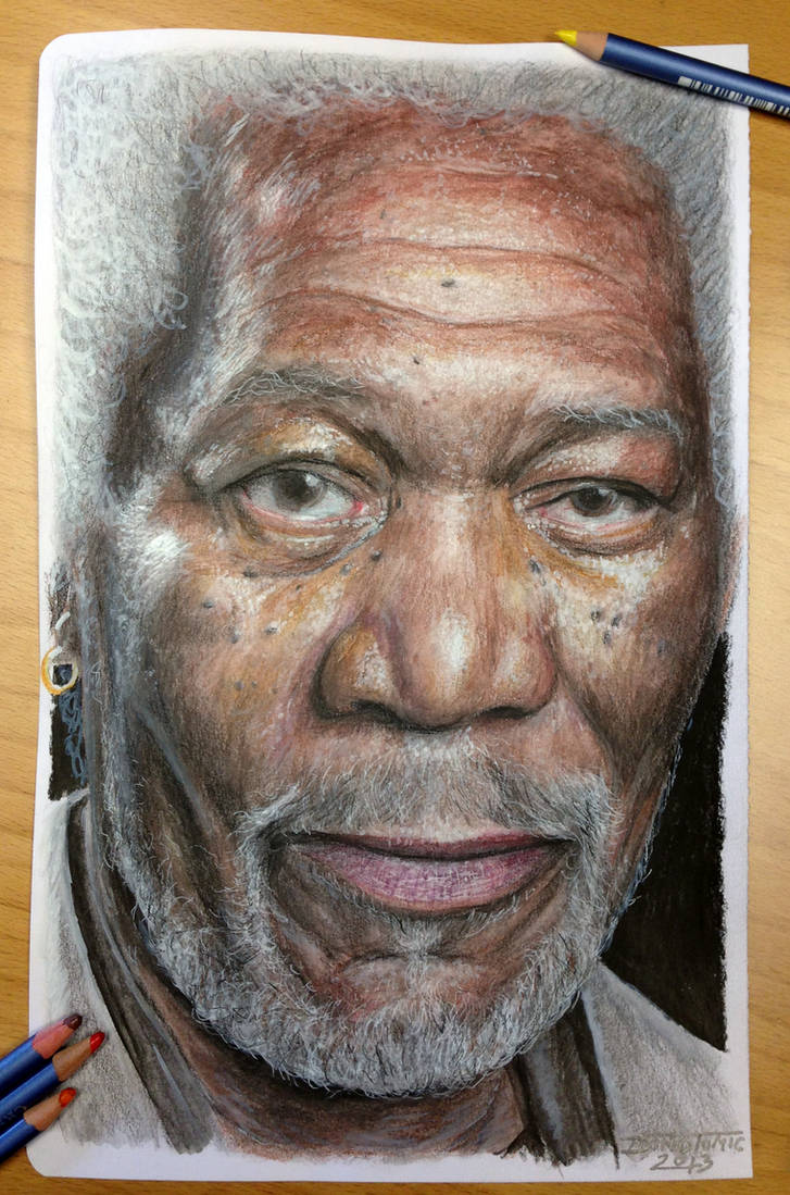 Aras Color pencil Drawing by AtomiccircuS on DeviantArt