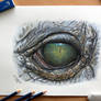 Crocodile Eye Color Pencil Drawing