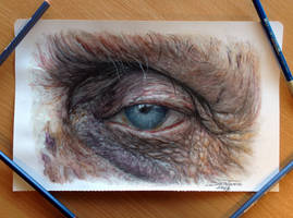 Old Eye Color Pencil Drawing