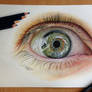 Eye color Pencil Drawing