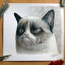 Pencil Drawing of the Grumpy Cat