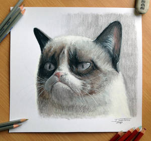 Pencil Drawing of the Grumpy Cat