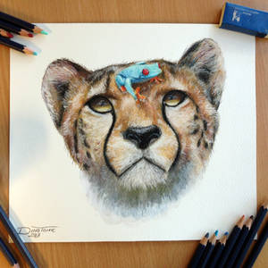 Cheetah and a frog pencil drawing