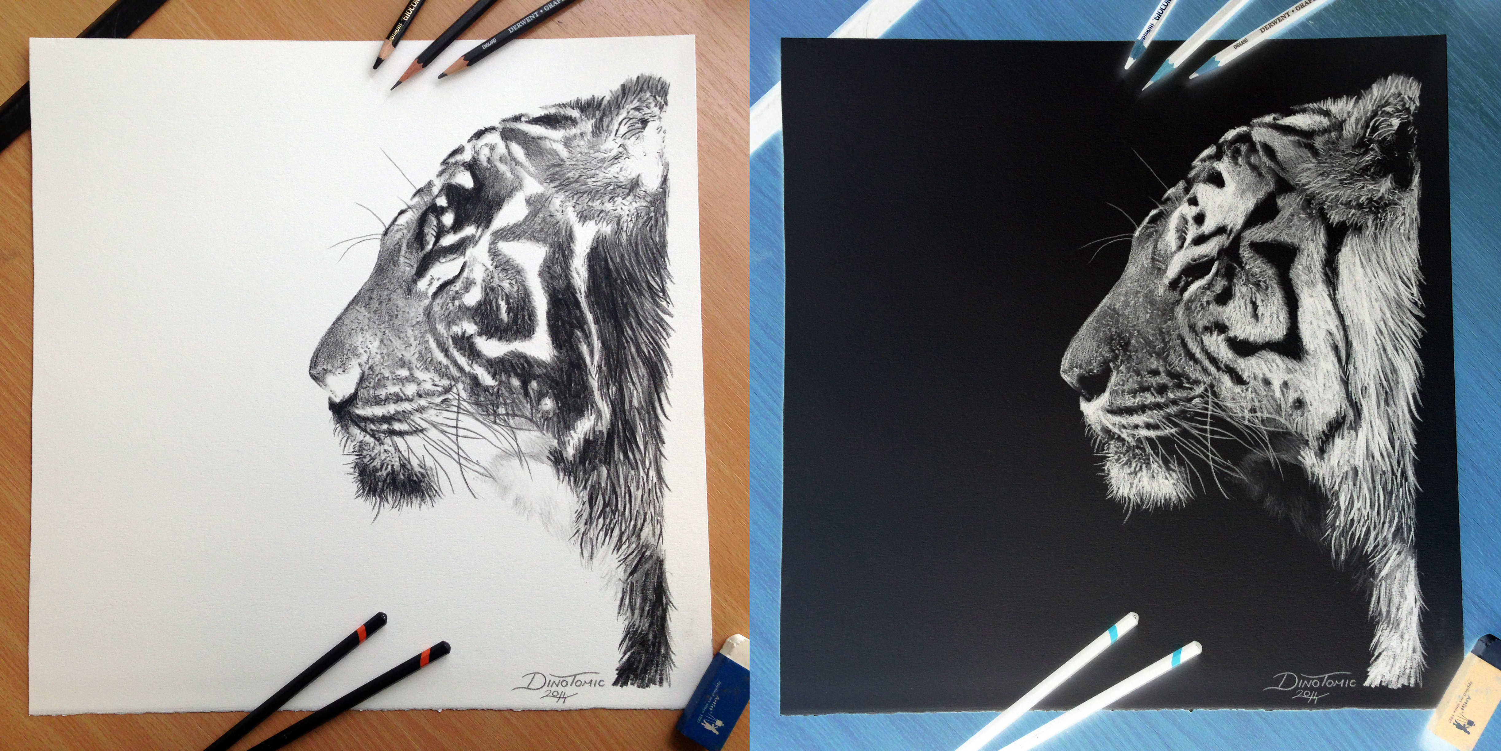 Inverted Tiger Pencil Drawing