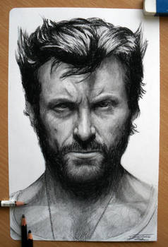 Hugh Jackman Pencil drawing as Wolverine