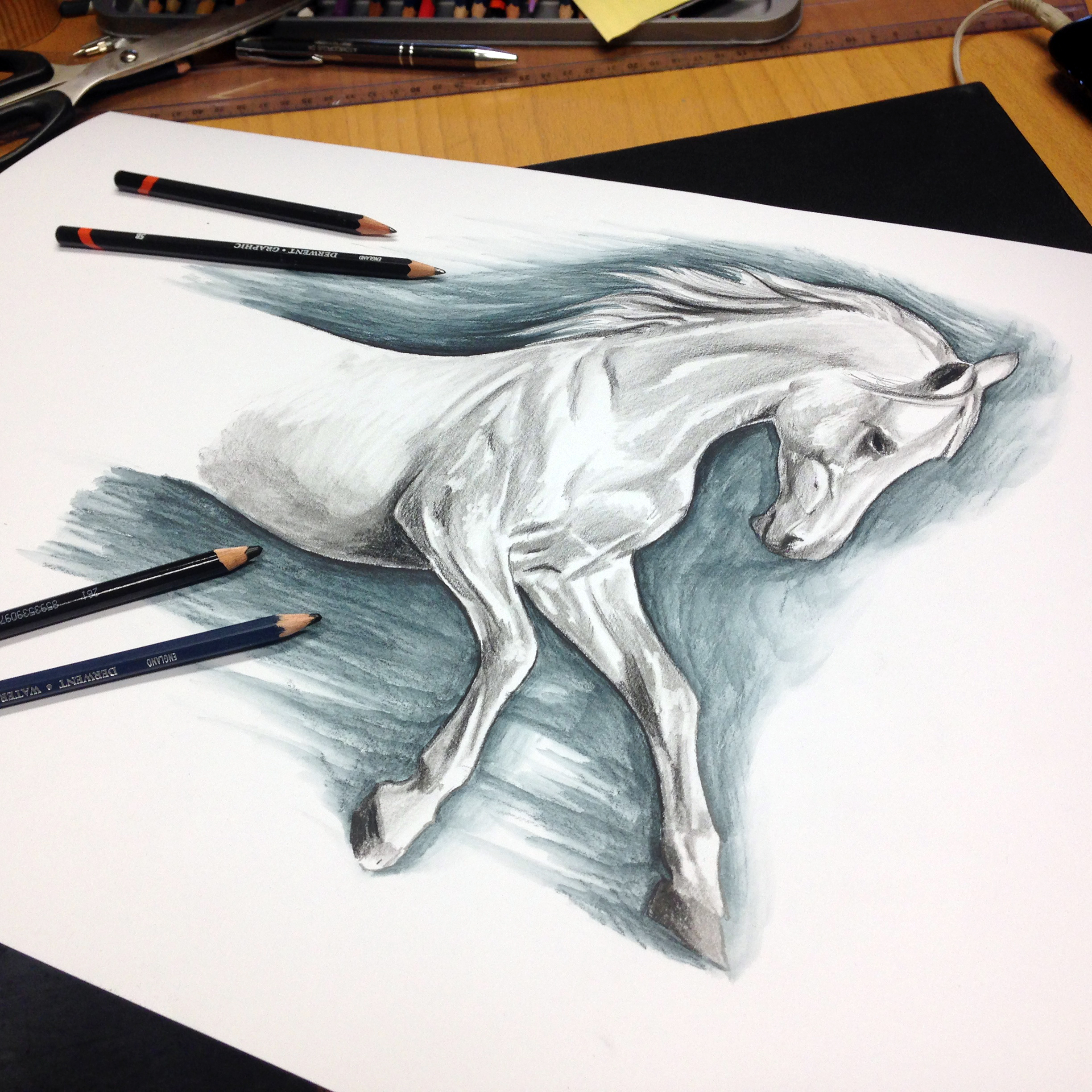 Horse Drawing Teaser