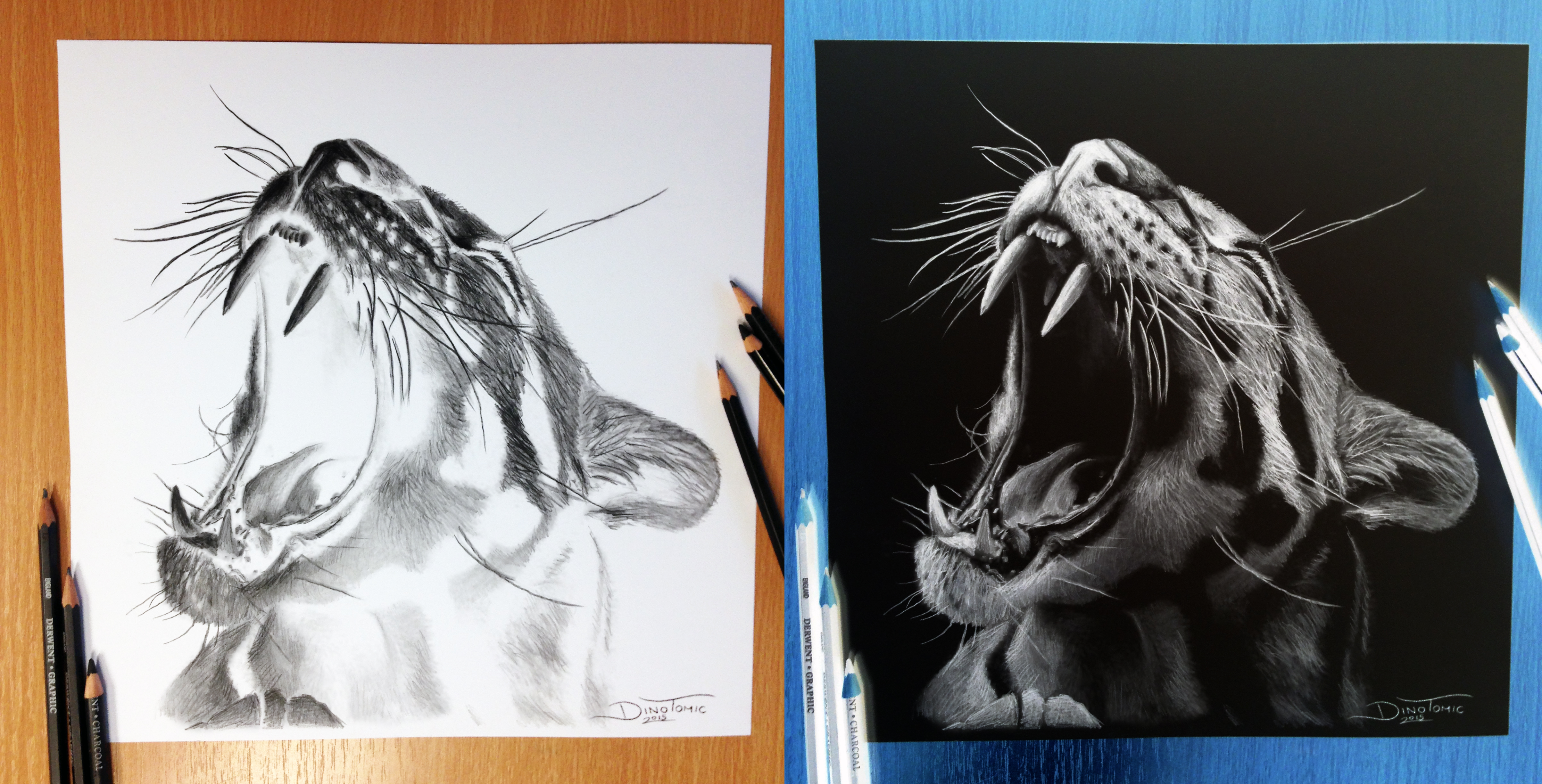 Clouded Leopard Inverted Pencil Drawing by AtomiccircuS on DeviantArt Clouded Leopard Inverted Pencil Drawing by AtomiccircuS on DeviantArt