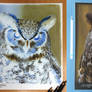 Owl Inverted Color Pencil Drawing
