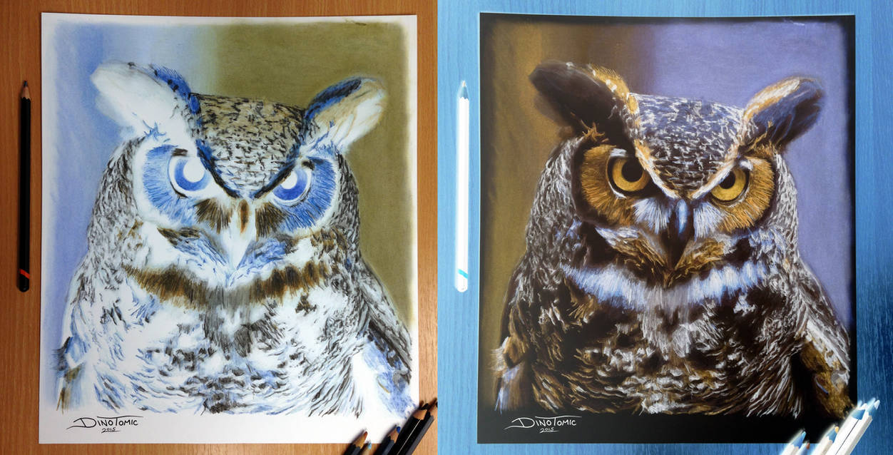 Owl Inverted Color Pencil Drawing by AtomiccircuS on DeviantArt