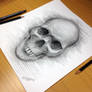 Skull Sketch