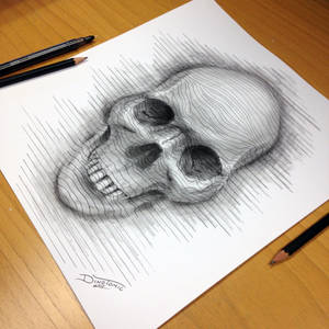 Skull Sketch