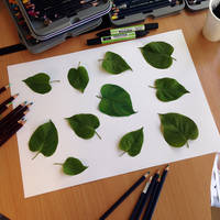 Real Leaf illusion drawing