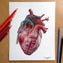 Grenade Heart Pencil Drawing