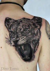 Lioness tattoo